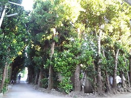Bise House