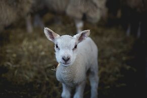 Owen House Farm