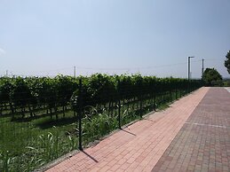 Stella del Garda