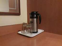 Hotel The Samrat