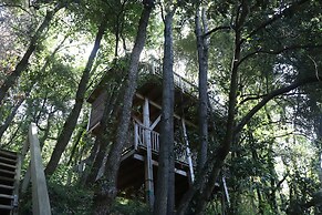 Orion Tree houses