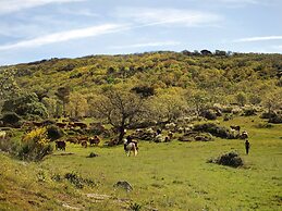 Finca El Cabezo