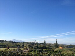 Agriturismo Il Macchione