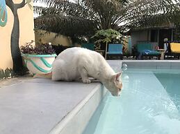 Mango Lodge Gambia