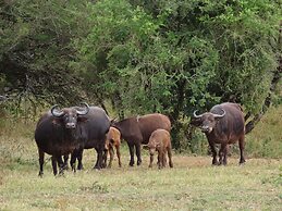 Sunset Lodge & Safaris