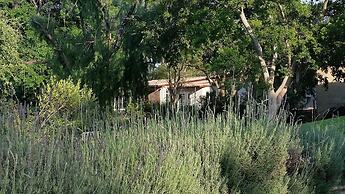 Amberhall Guesthouse