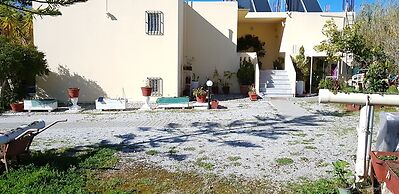 Zinovia