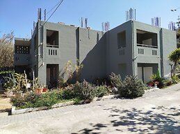 Zinovia