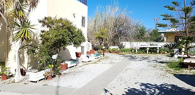 Zinovia
