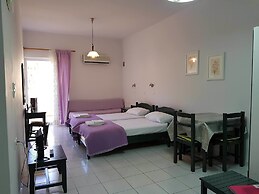Zinovia