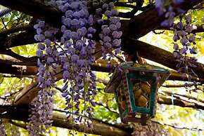 Il Roseto