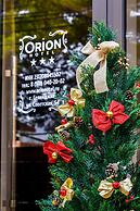 Orion
