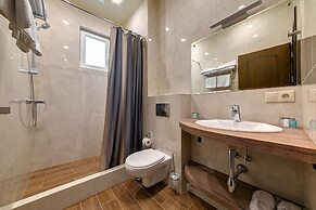 Orion