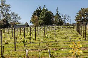 Mason Wines