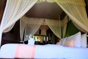 P Paradise Hotel