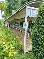 P Paradise Hotel