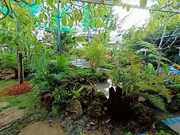 P Paradise Hotel