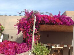 Riad Timila