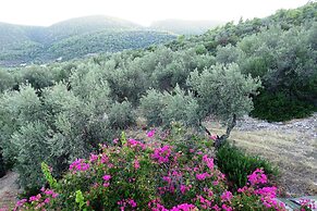 Aristides Homes