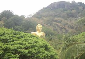 Takeshi inn