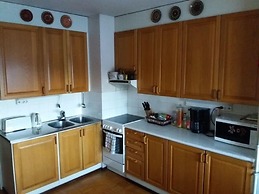 Spacious 4 Room Apartment & Sauna