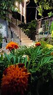 Denis Guest House