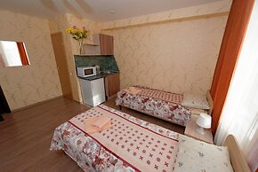 Piterdom Novaya