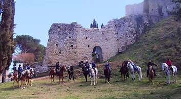 Borgo Caiano Country Inn