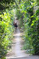 Gite Nam Hien Mekong