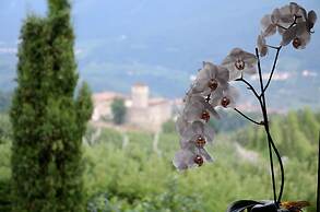B&B al Trifoglio