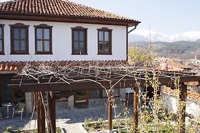 Iliikova House