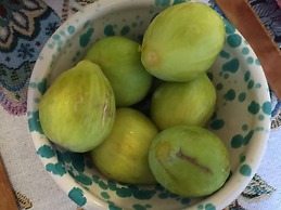 Dimora del casale