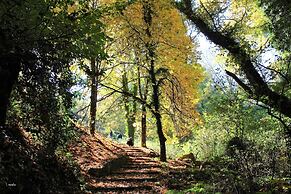 Foresta in Medias Mores
