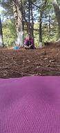 Foresta in Medias Mores