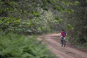 Foresta in Medias Mores