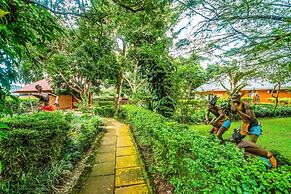 Banana Village