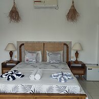 Palm Trees Villas