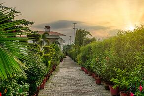 Corbett Solitaire