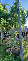 Home Farm Villa Hoi An