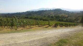 Fattoria di Fubbiano