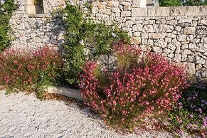 Tenuta Odegitria