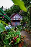 Paso Del Alaska Resort