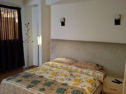 Spacious Apartment Downtown
