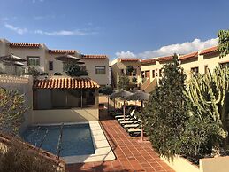 Albir Up Paradise