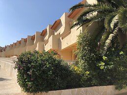 Albir Up Paradise