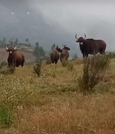 Vridhavan Mist City