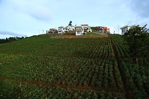 Vridhavan Mist City