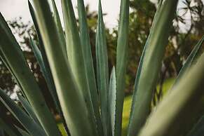 Rancho La Joya