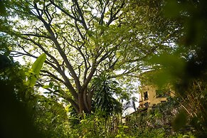 Rancho La Joya