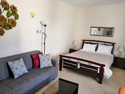 Artemisia Apartment